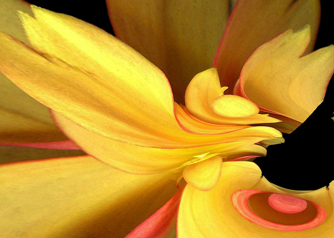 Sunburst
