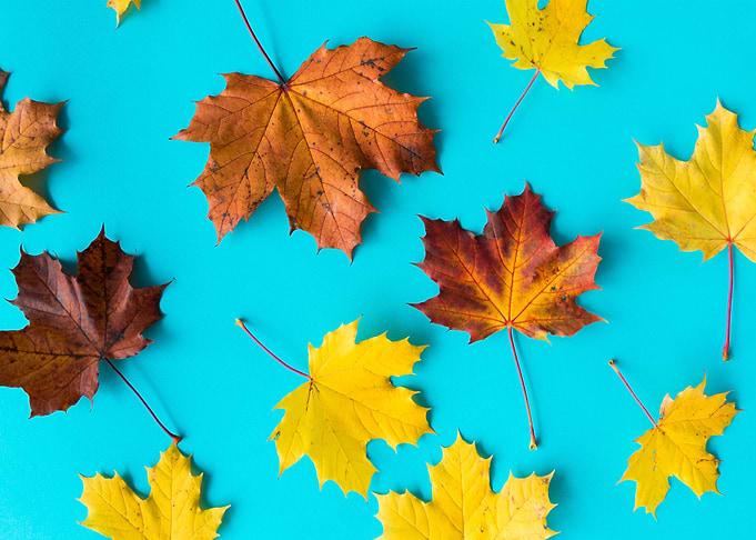 Autumn Leaves