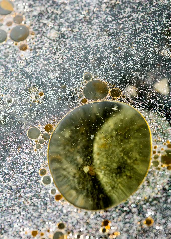 Oil bubbles on water macro