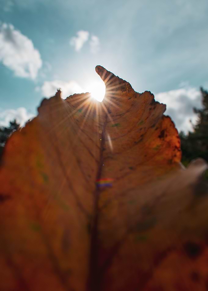 Collecting sunlight