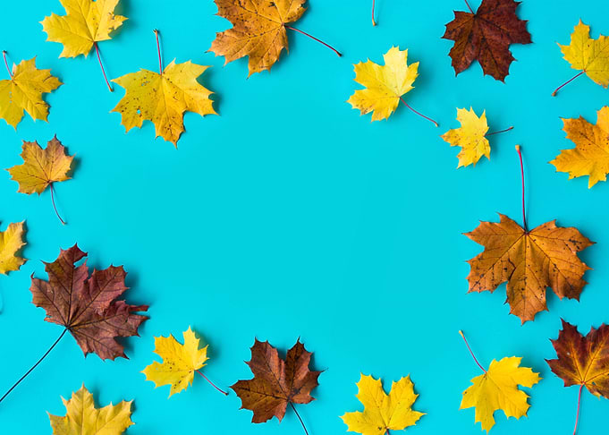 Autumn Leaves