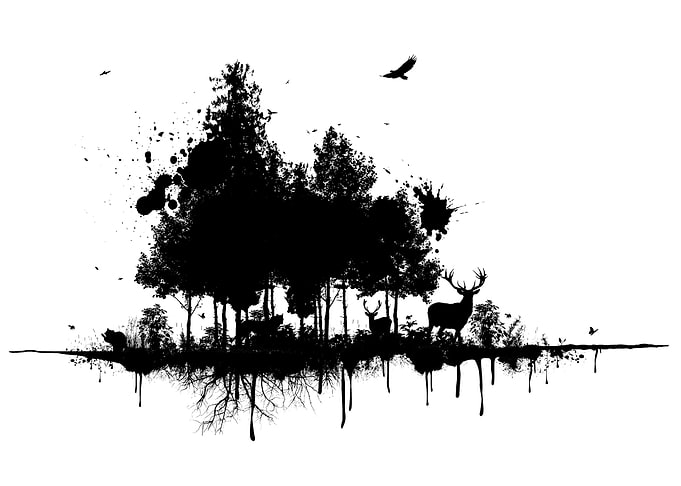 Natural Ink