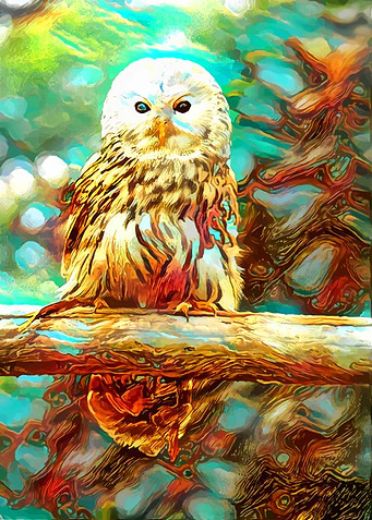 Owl Like Air