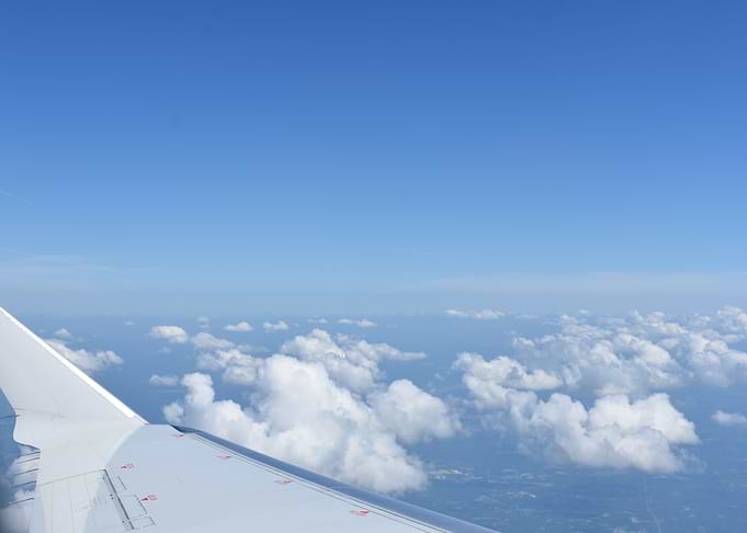 Out on a Wing