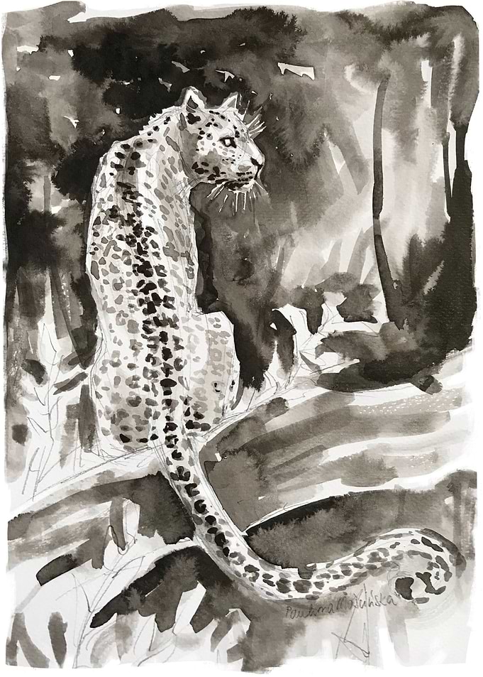 Jaguar