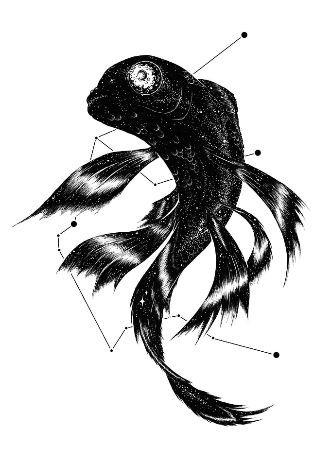 Cosmic Koi