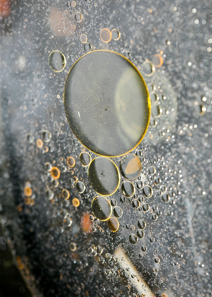 Oil bubbles on water macro