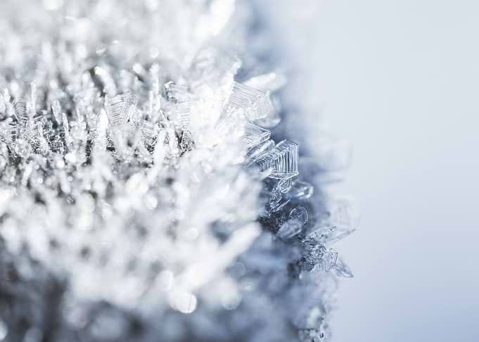 Morning Hoar Frost Frozen