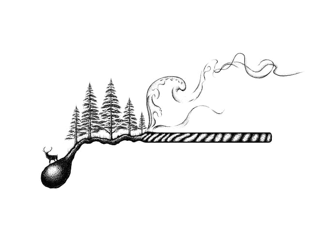 Forest Fire