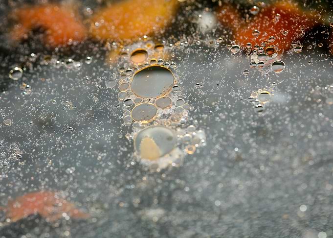 Oil bubbles on water macro