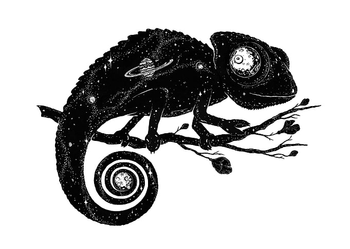 Cosmi Chameleon