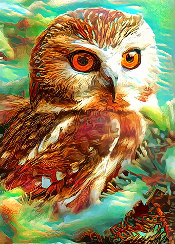Oh what a lovely owl
