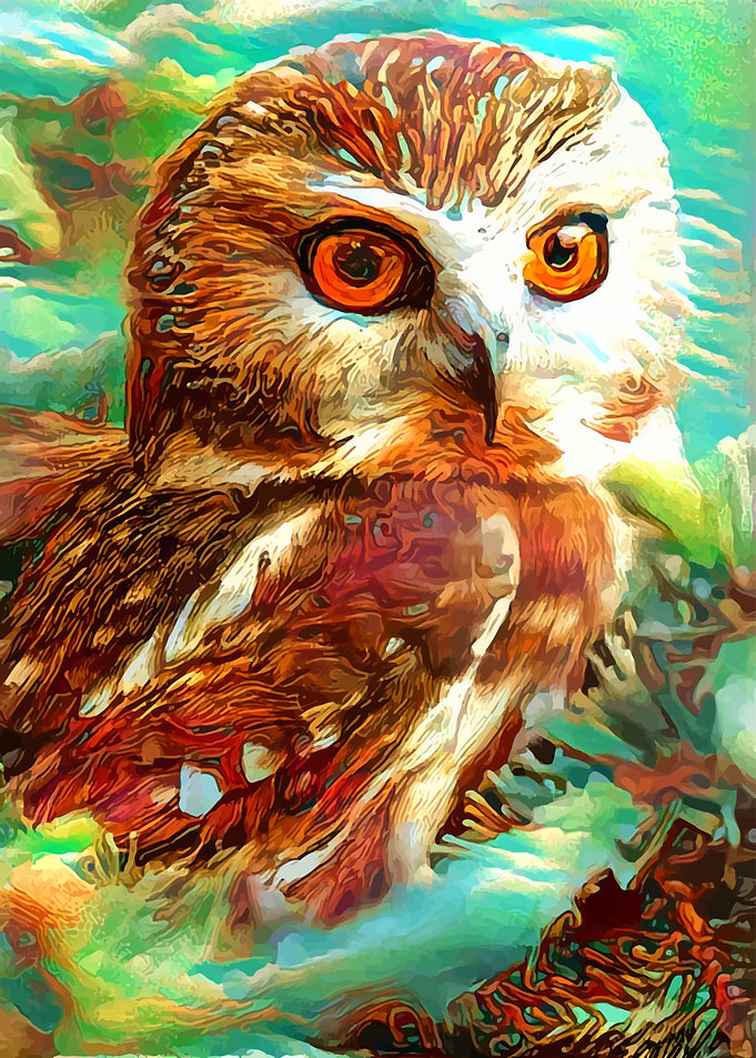 Oh what a lovely owl