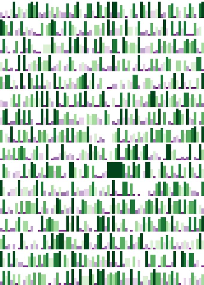 pi visualization