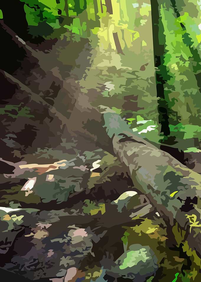 Through the Trees 1