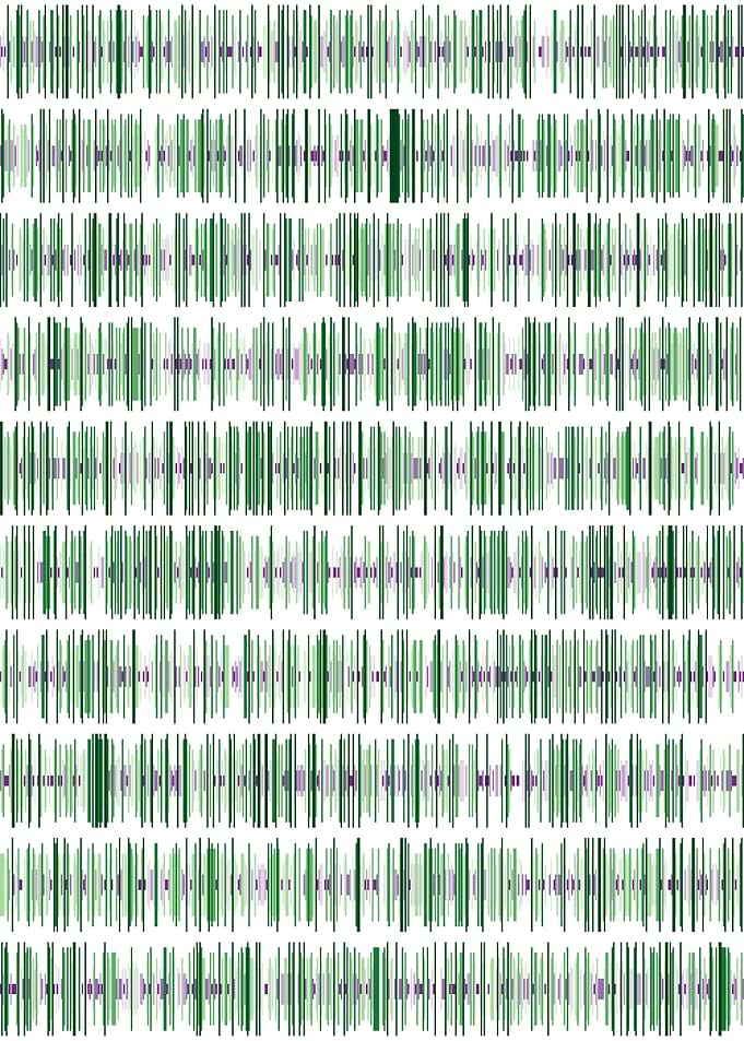 pi visualization