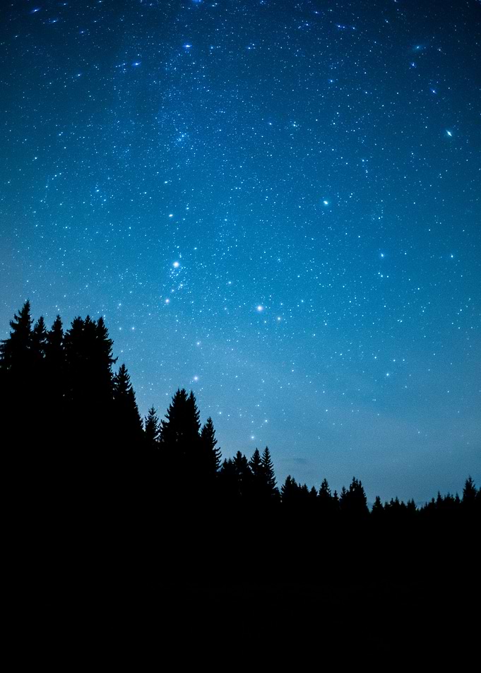 Above the forest