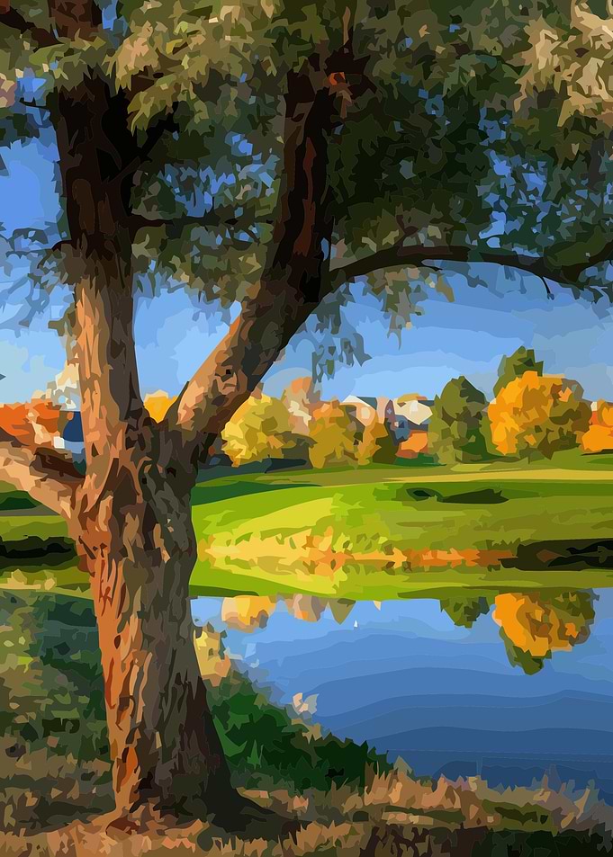 Trees Lake 2