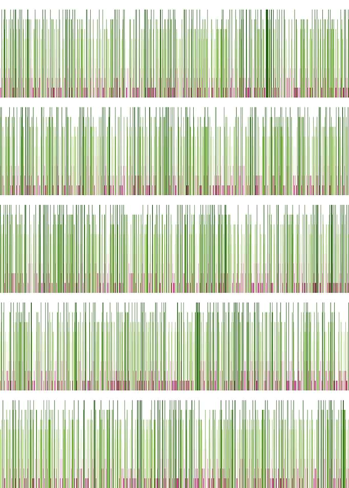 pi visualization