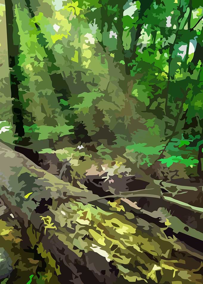 Wooden Forest