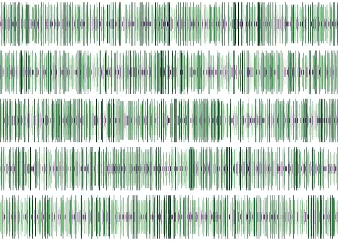 pi visualization