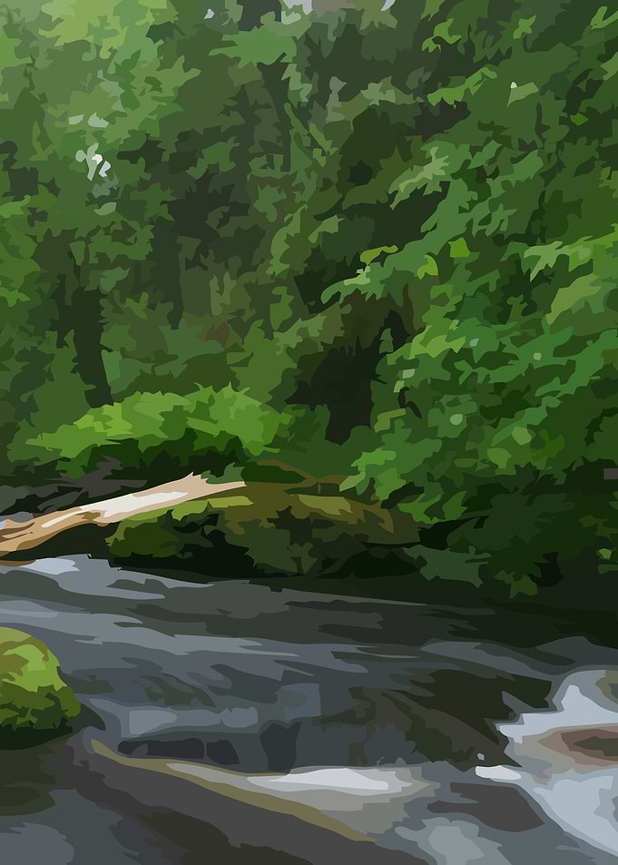 River Forest 2