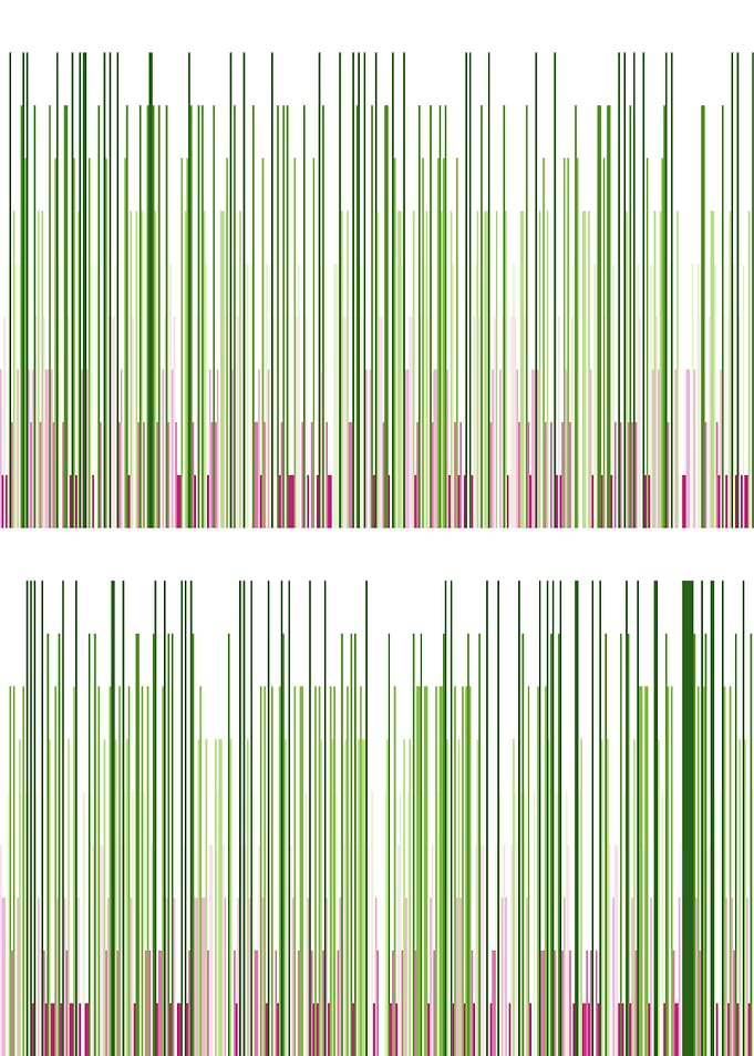 pi visualization