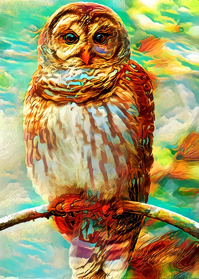 Beautiful Creature