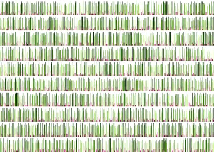 pi visualization
