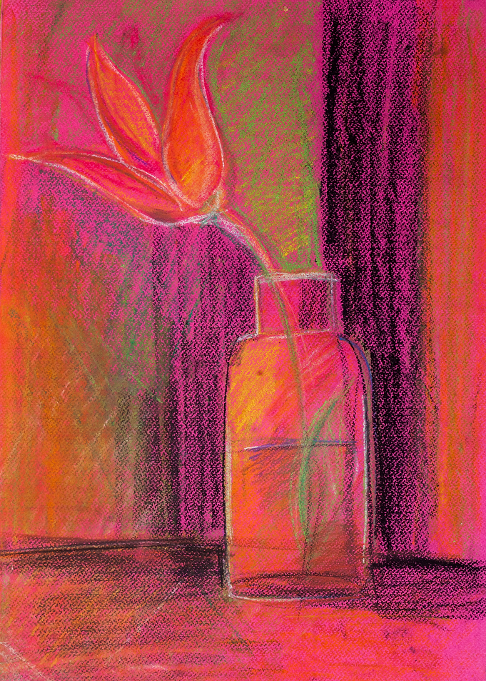 The tulip