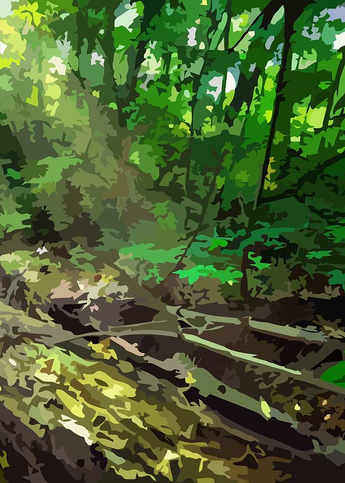 Through the Trees 2
