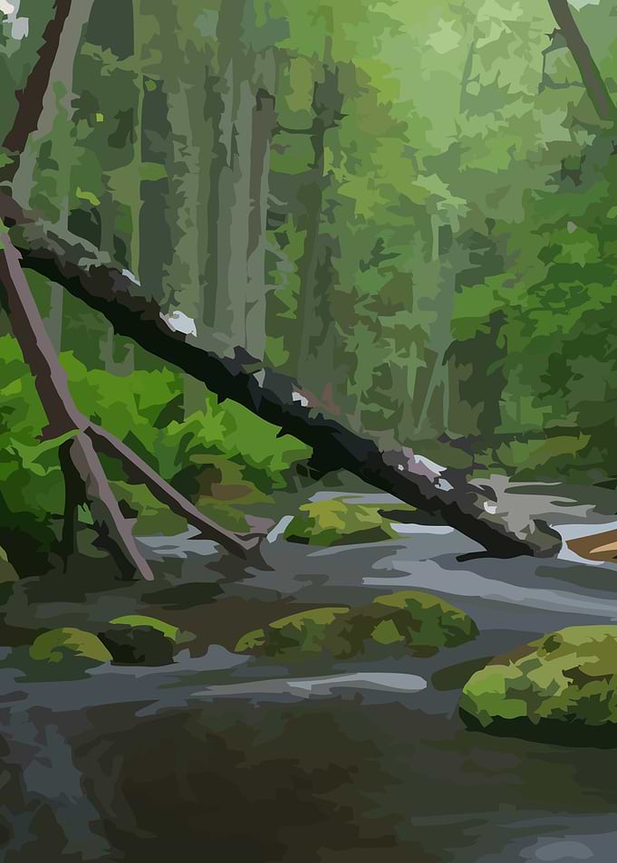 River Forest 1