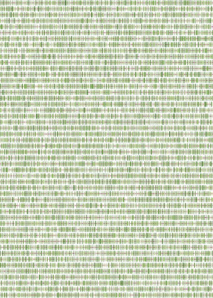 pi visualization
