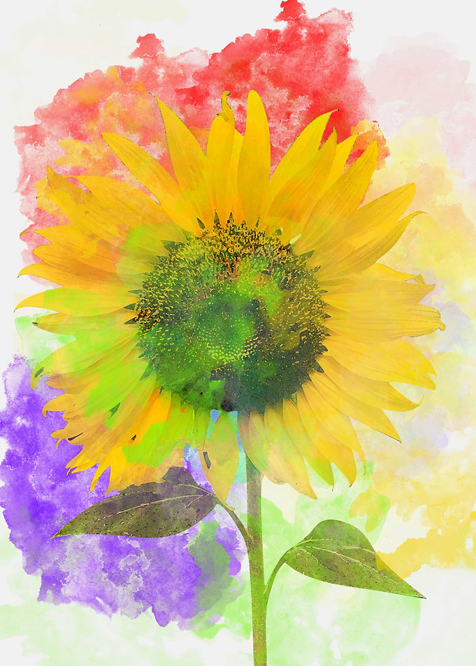 Watercolor Sunflower