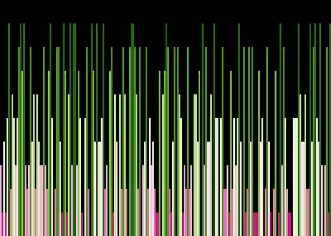 pi visualization