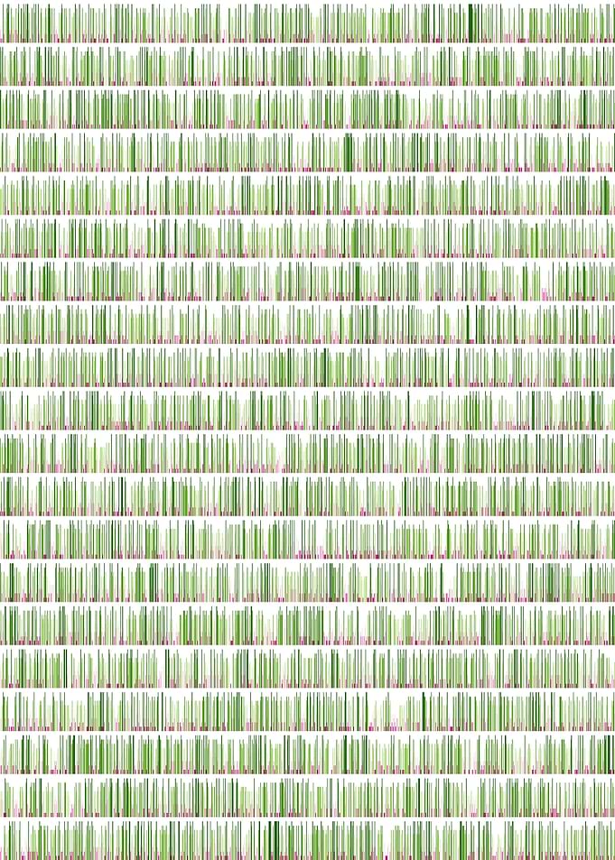 pi visualization