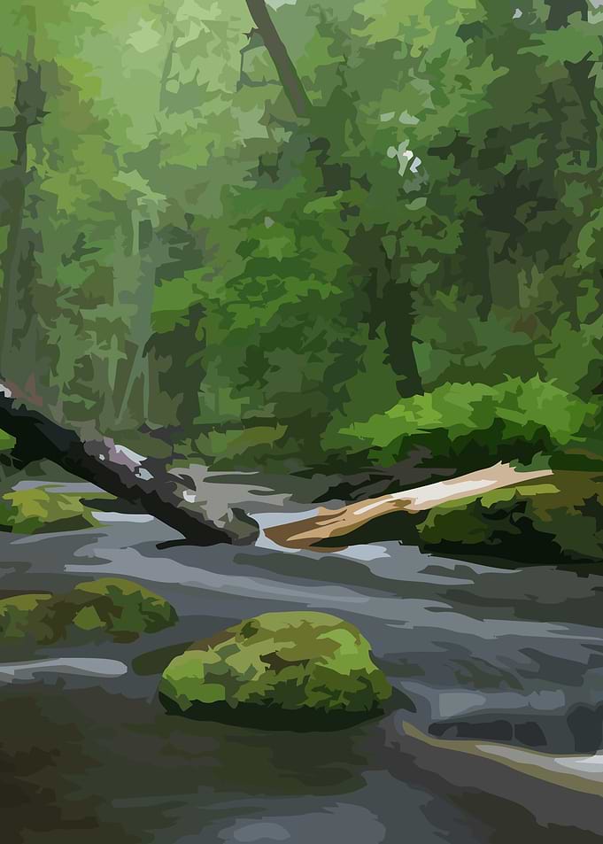 Wooden River