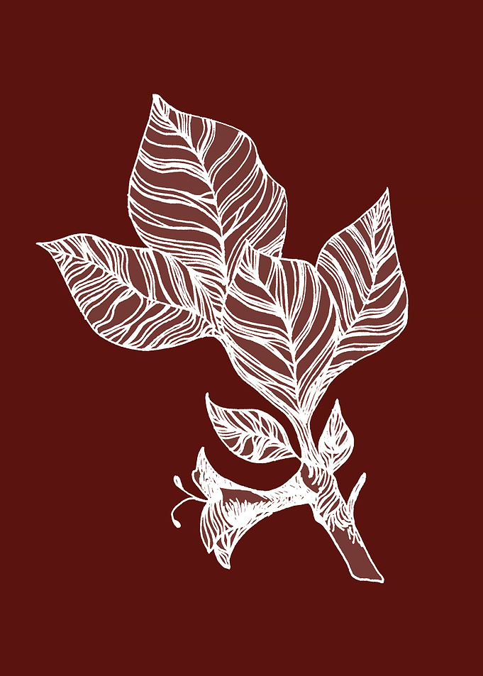 leaves red