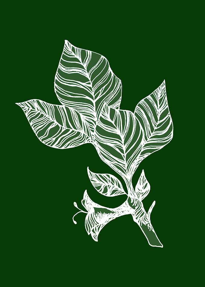 leaves green