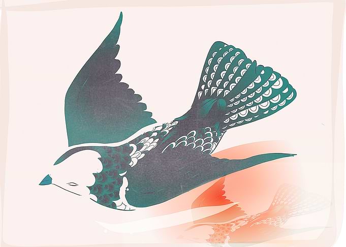 Hirundo