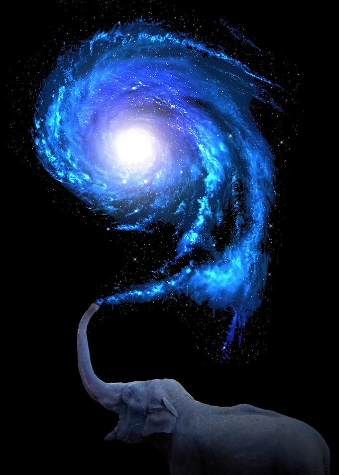 Elephant Galaxy