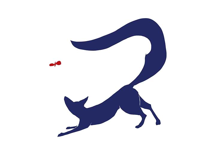 Curious Fox