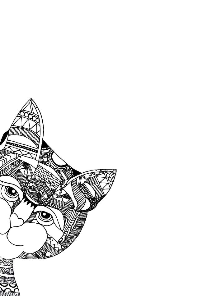 little cat