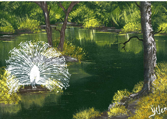 White Peacock