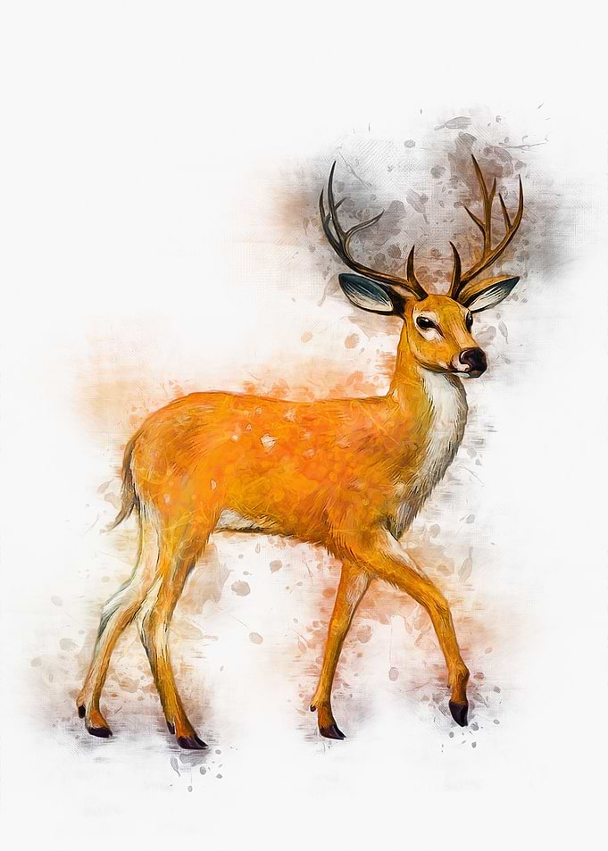 Deer Art