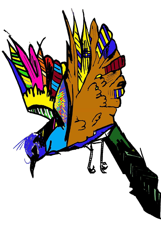 Bird in colors