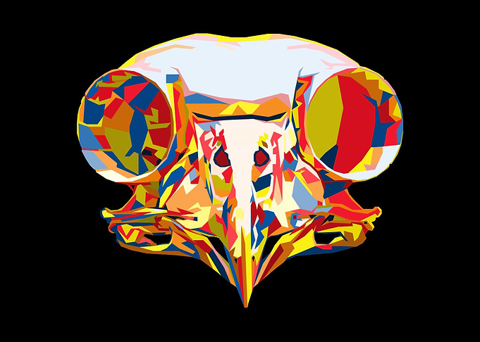 Colorful Owl Skull