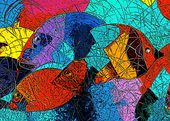 glass fish