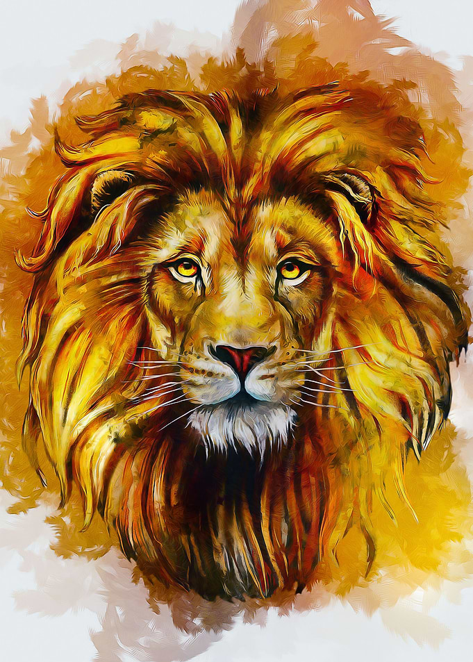Lion The King