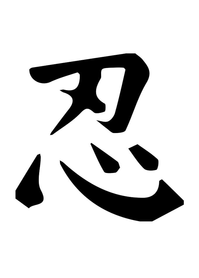 Ninja
